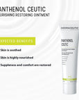 Dermaceutic Laboratoire Panthenol Ceutic Nourishing Restoring Ointment 30g
