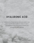 Dermaceutic Laboratoire Hyal Ceutic Intense Moisturiser 40ml
